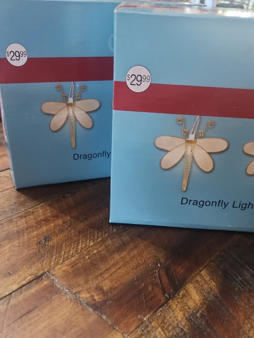Indoor Dragonfly Lights